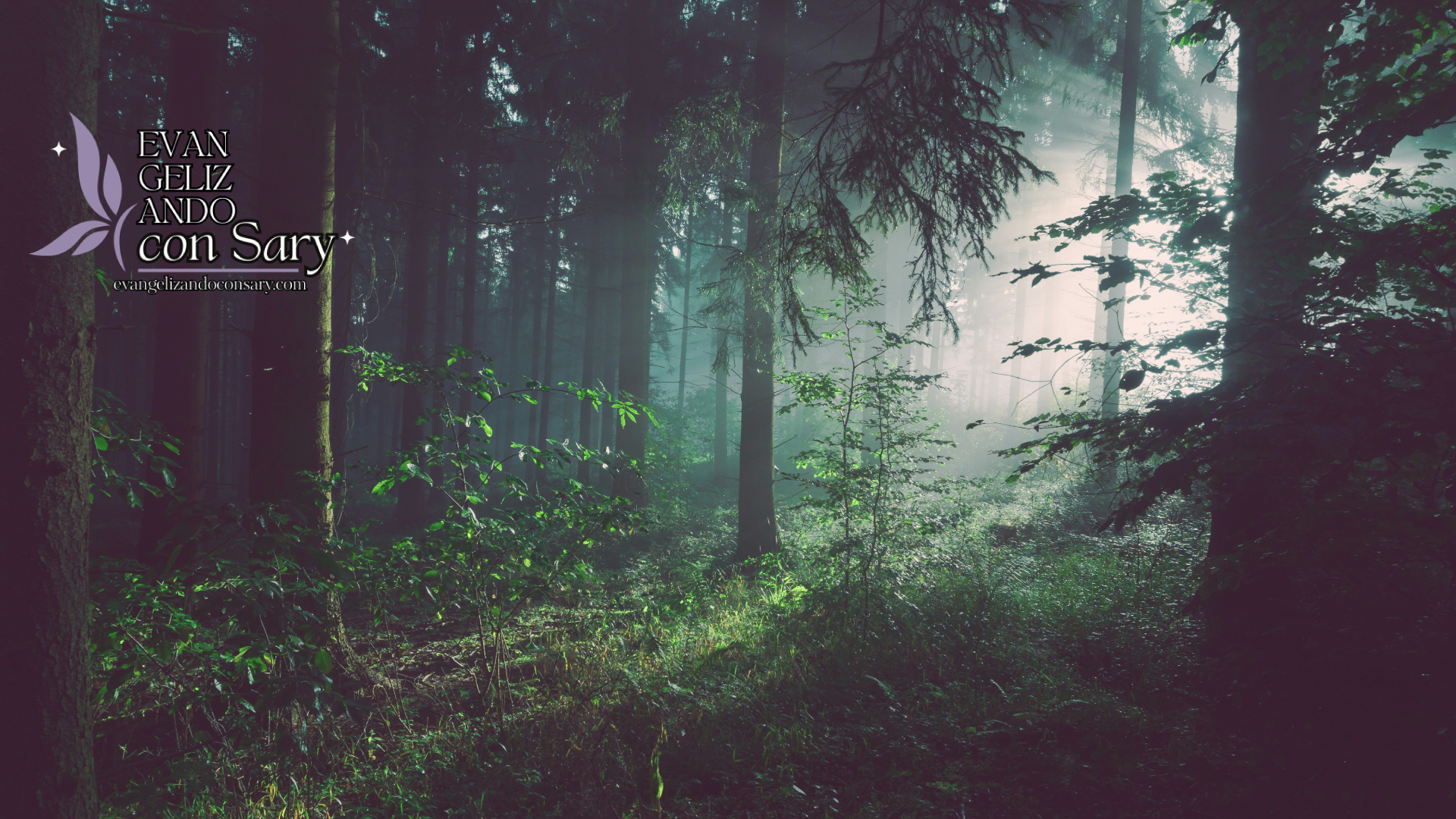 Path through a forest representing resilience and trust in God’s plan during life’s challenges