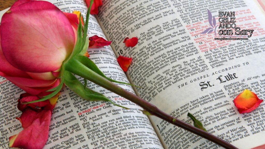 Understanding Love in Christian Scriptures: Christian Concept of Love