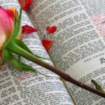 Understanding Love in Christian Scriptures: Christian Concept of Love