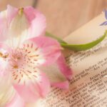 Christian Simplicity and Spiritual Growth: Embracing Less for Greater Faith